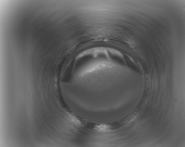 X0000063530269200602032144