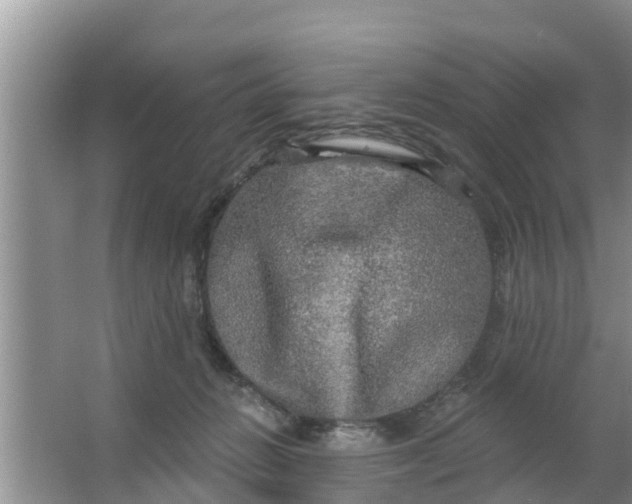 X0000063530270200602032144