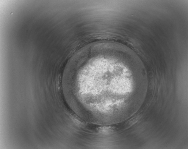 X0000063530273200602032144