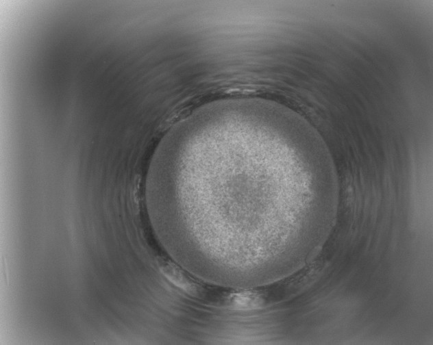 X0000063530275200602032144