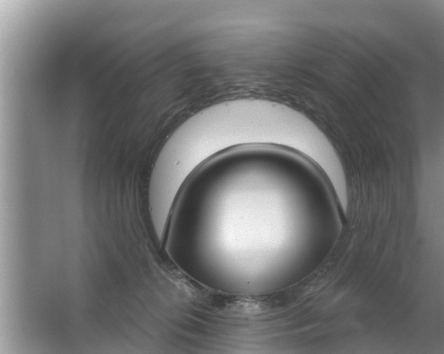 X0000063530276200602032144