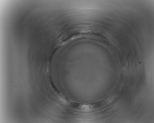 X0000063530277200602032144