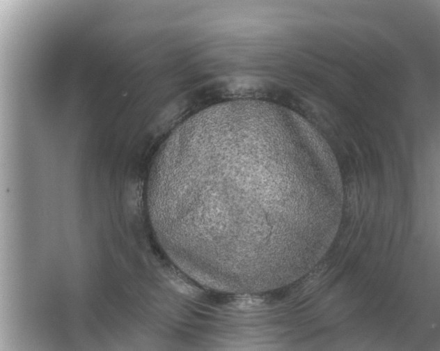 X0000063530278200602032144