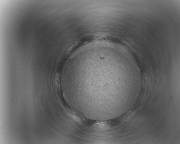 X0000063530280200602032144