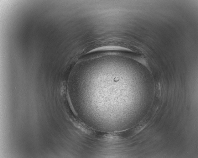 X0000063530284200602032144