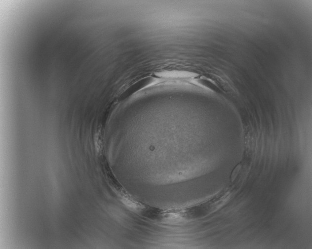 X0000063530285200602032144