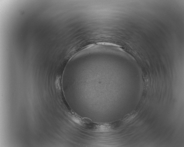 X0000063530286200602032144