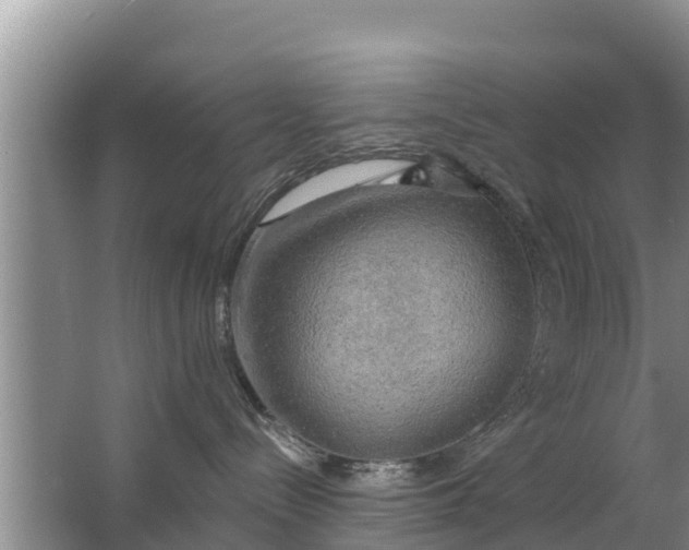 X0000063530288200602032144