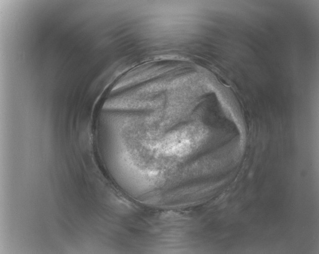 X0000063530290200602032143