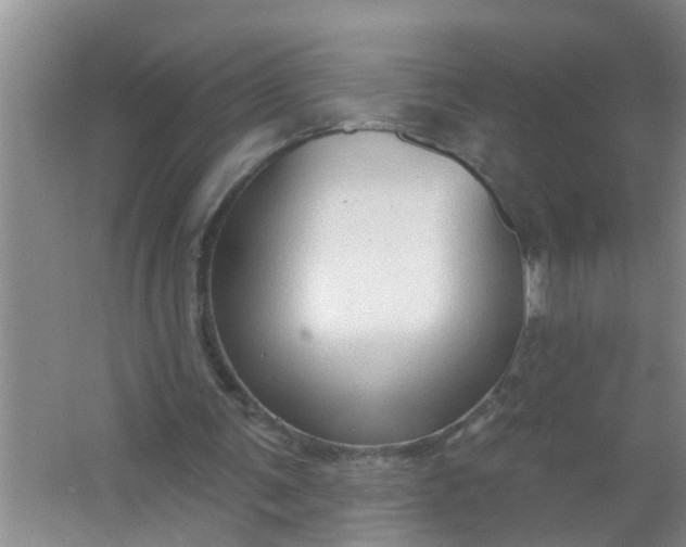 X0000063530291200602032143