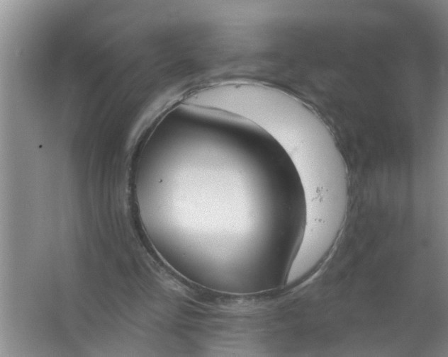 X0000063530293200602032143