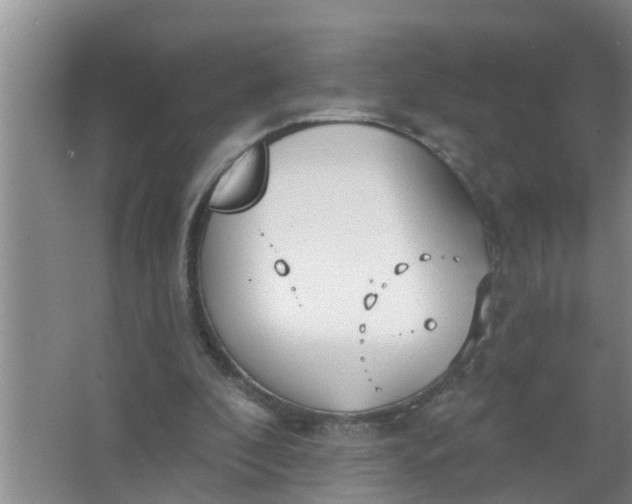 X0000063530296200602032143