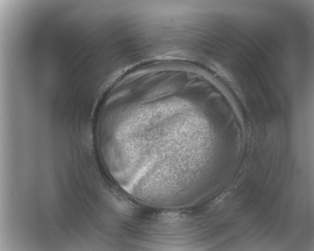 X0000063530298200602032143