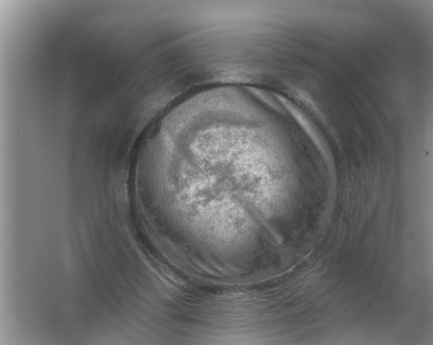 X0000063530299200602032143