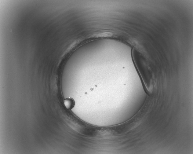 X0000063530300200602032143