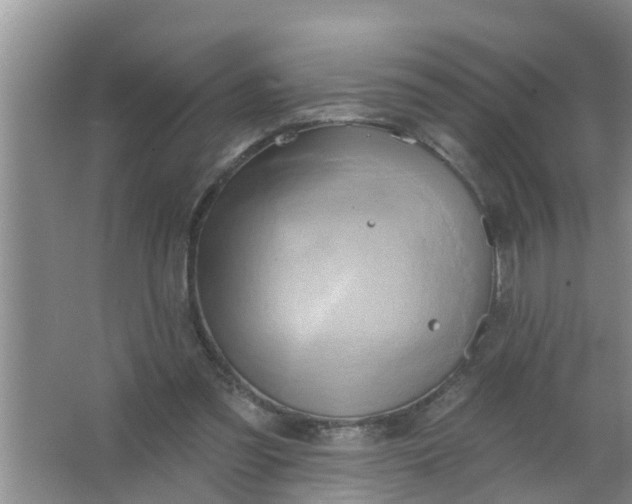 X0000063530301200602032143