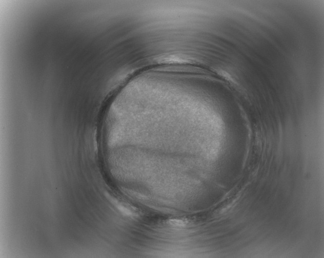 X0000063530302200602032143