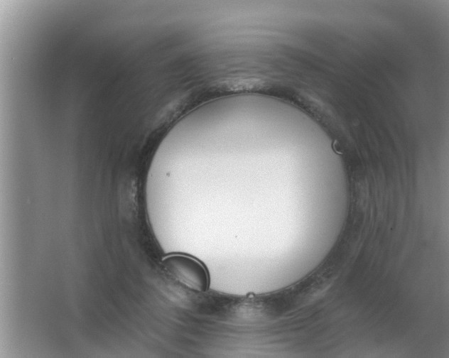 X0000063530308200602032143