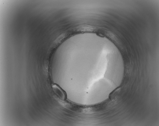 X0000063530309200602032143