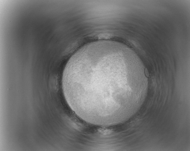 X0000063530311200602032143