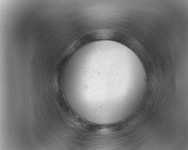 X0000063530312200602032143