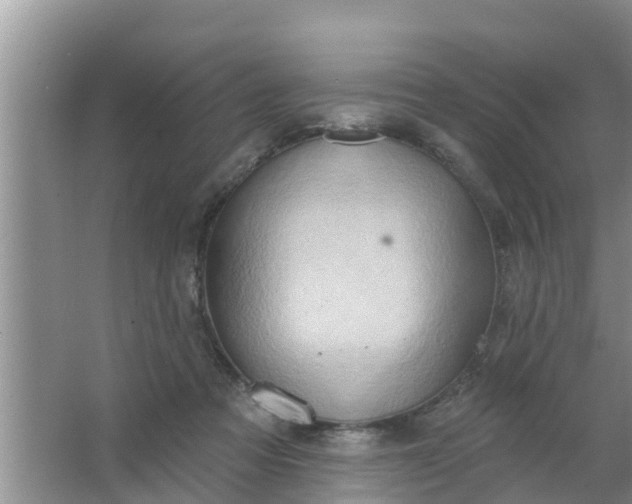 X0000063530313200602032143