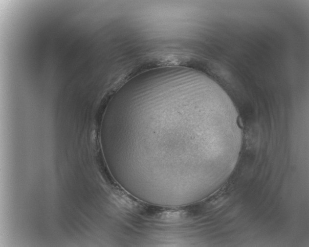 X0000063530314200602032143