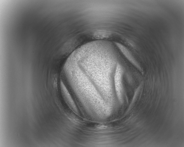 X0000063530315200602032143