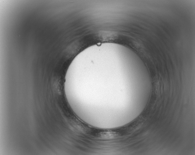 X0000063530316200602032143