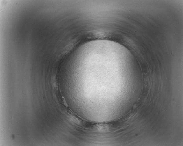 X0000063530317200602032143