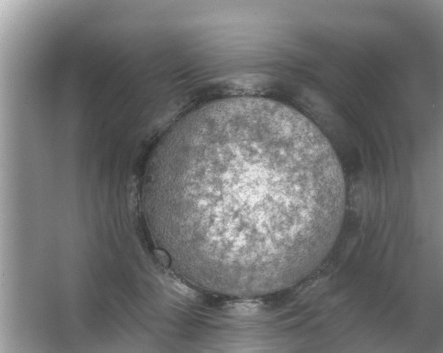 X0000063530318200602032143