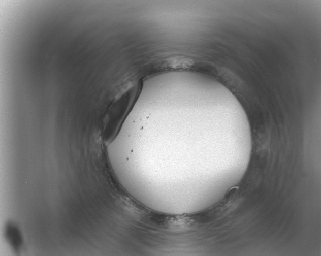 X0000063530321200602032143