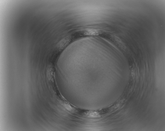 X0000063530322200602032143