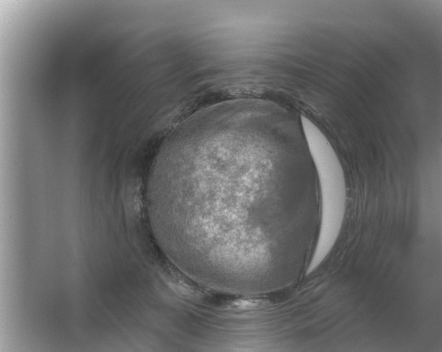 X0000063530323200602032143