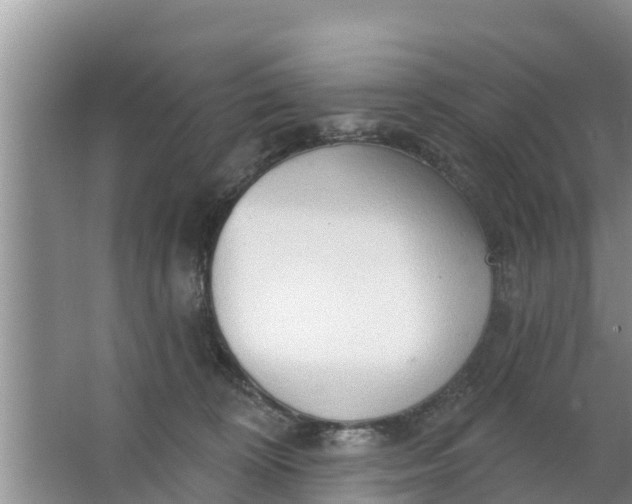 X0000063530324200602032143