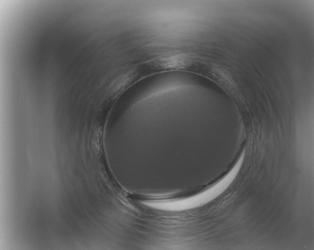 X0000063530325200602032143