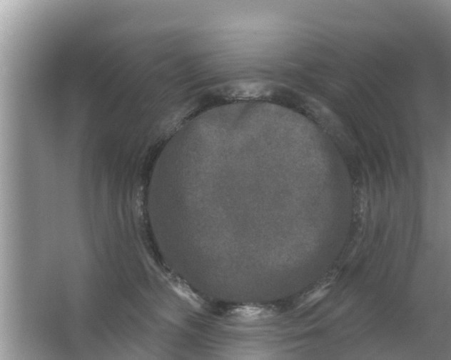 X0000063530326200602032143