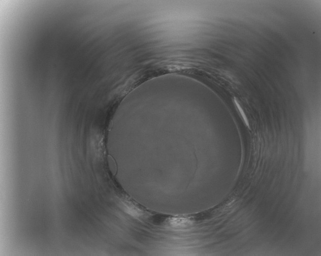 X0000063530327200602032143