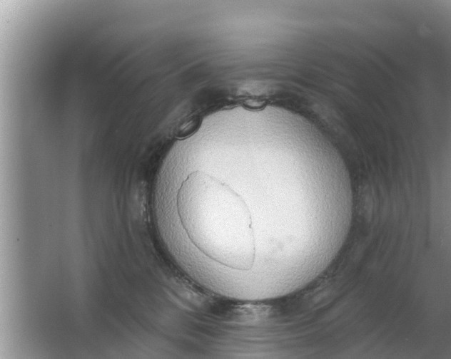 X0000063530328200602032142