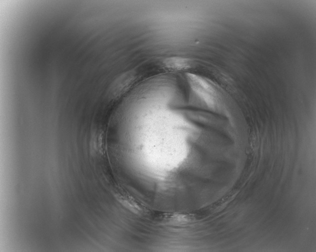 X0000063530330200602032142