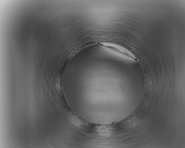 X0000063530331200602032142