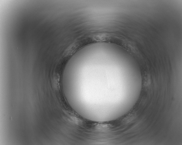 X0000063530332200602032142