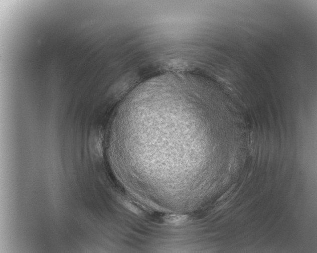 X0000063530334200602032142