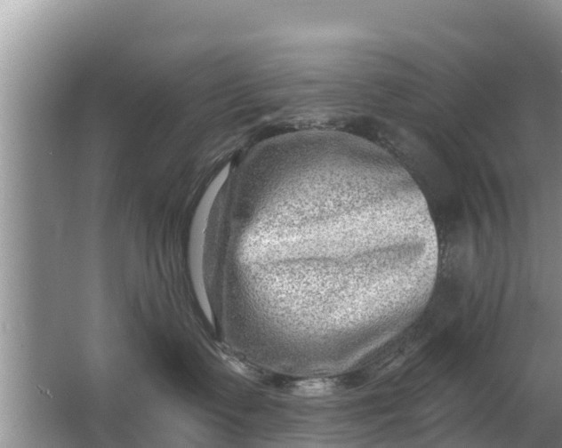 X0000063530335200602032142