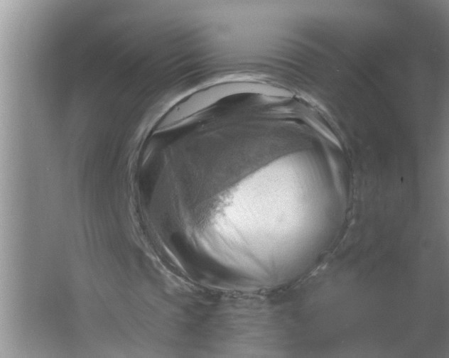 X0000063530337200602032142