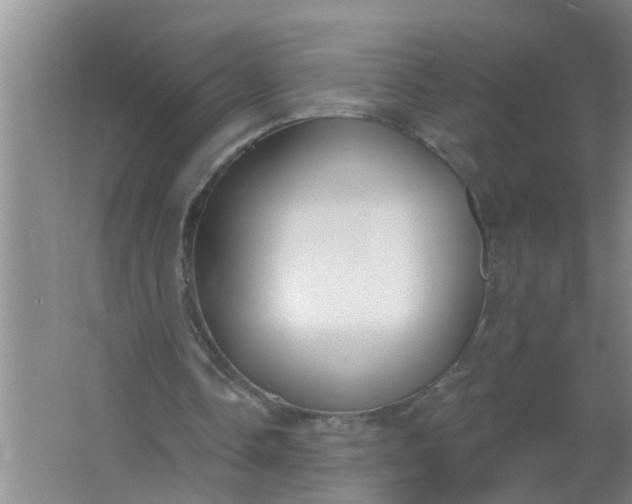 X0000063530338200602032142