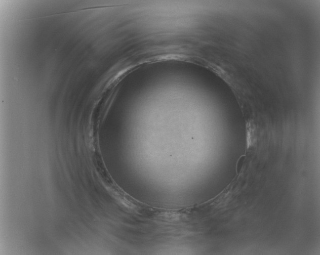 X0000063530339200602032142