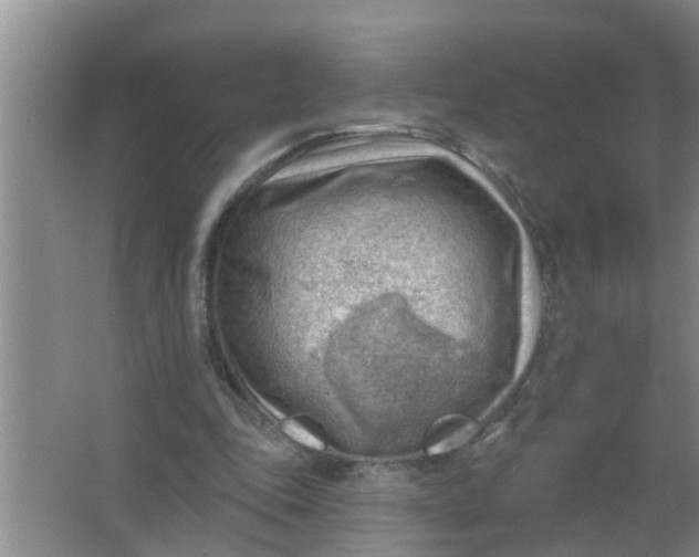 X0000063530343200602032142