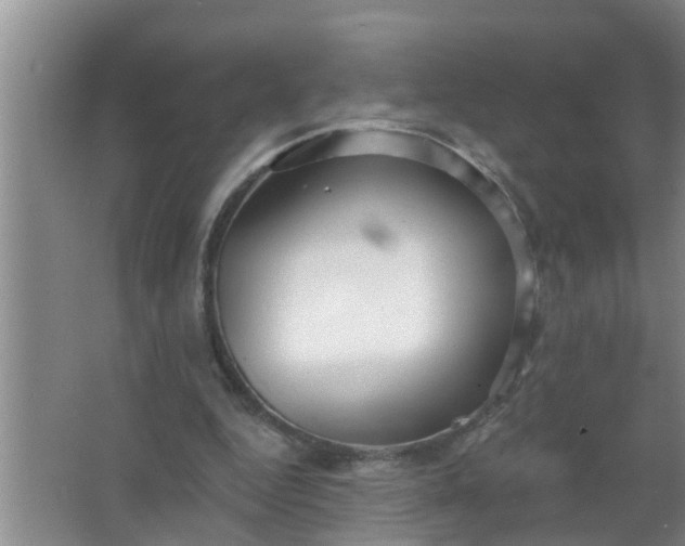 X0000063530344200602032142