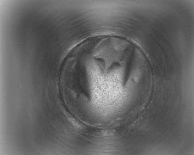 X0000063530345200602032142